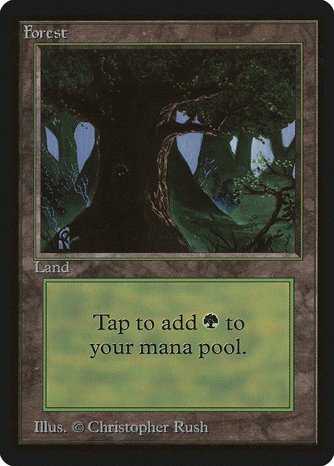 Forest MTG Karte kaufen - Limited Edition Beta - Englisch - TcG Love