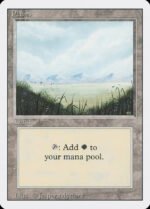 Plains kaufen - Revised Edition bei TcG Love